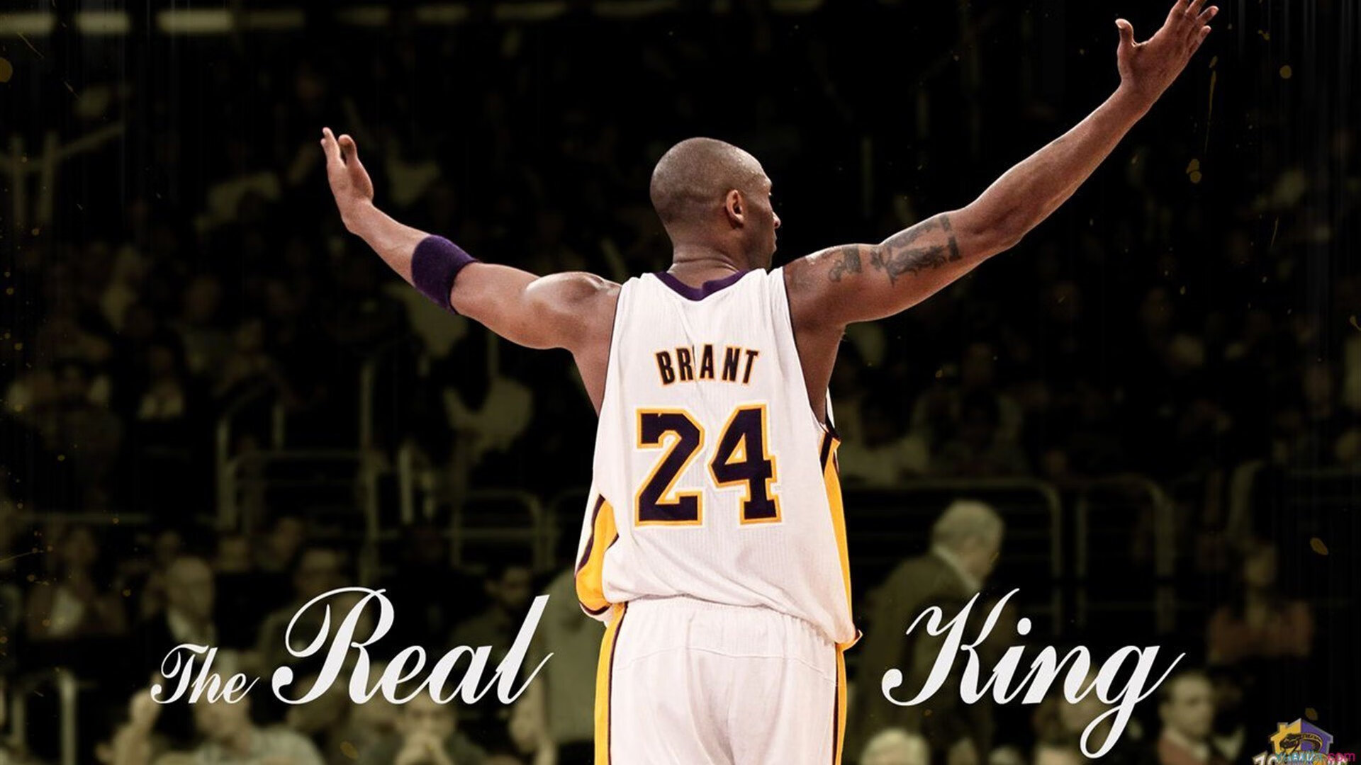 富勒姆进攻端多点开花，白百合奋力保级，富勒姆外号叫什么